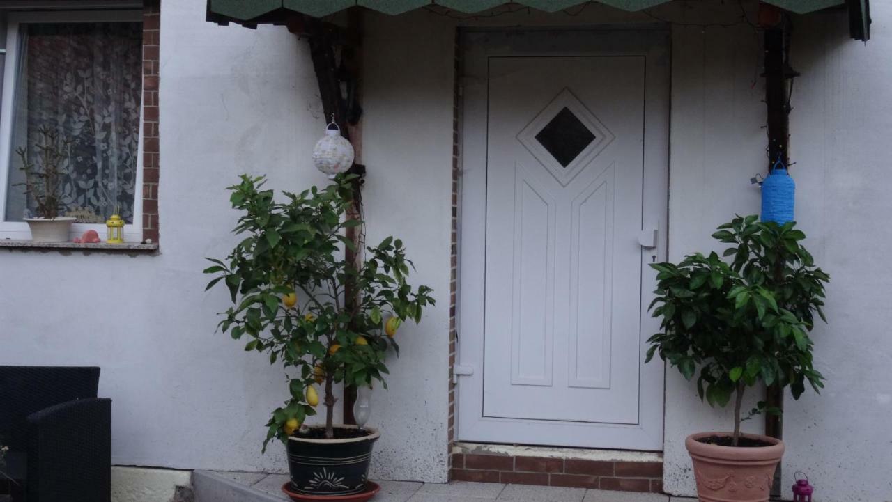 Pension Und Gaestehaus Paffrath Grossbrembach エクステリア 写真